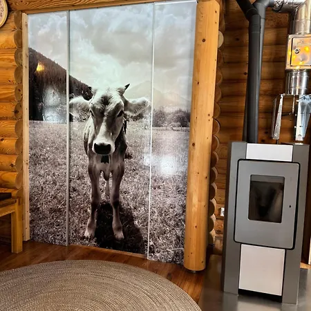 Alpenglueck Blockhaus In Der Ziegelwies * Füssen